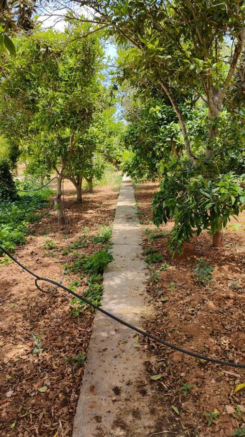 Stunning Villa With Pool, Table Tennis, Table Soccer And A Pool Table Naxxar Exterior photo